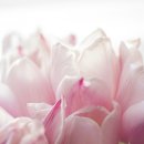 구리시 배드민턴장 이미지