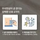 점핑제이 | 남산역운동 1개월 체지방 -5.8kg 현재진행중 남산동 제이점핑(37일차 -7.6kg)