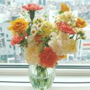 어버이날 카네이션 선물 추천, 압구정 꽃집 블룸위드러브 리카 워터베이스🌸