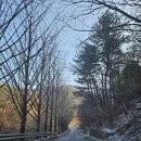 수안보한의원 이미지