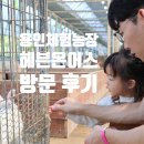 의성4농장 | 추석 연휴 용인놀거리 추천 동물먹이주기 가능한 체험농장 헤븐온어스