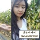 선화농장3 네이버블로그