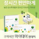 마이데이