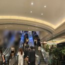 임산부 운동 추천! 신세계아카데미 강남점 커플요가 후기｜남편과 함께한 부부요가 데이트