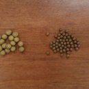 아임한의원 이미지