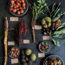 구로-구로-구로-732 이미지