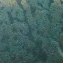 스타일담아 이미지