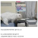 여시들의 귀여운 털 친구들 같이 보자 이미지