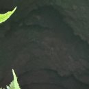 광평휴게소