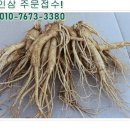 금산 활력의집 이미지