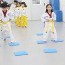 석사태권도체육관 이미지