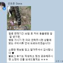 삼성화재 고양이 펫보험 가입후기 (광고X, 내돈내산)