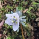 (주)오름 이미지