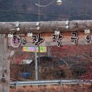 팔공산장작구이