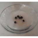 동우 베스티움타워 이미지