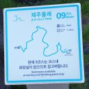 제주 올레길 9코스 이미지