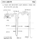 원위세뇨관 물질 재흡수 이미지