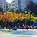 부천시청 주변 이미지