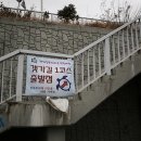 돌산공원길 이미지