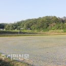 독바우 이미지