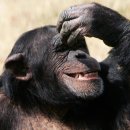 계원 PC방 이미지