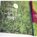 고양이의 하루 이미지