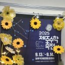수학쌤의 인문학 북콘서트 | 제주수학축전 해바라기 포토존 / 제주실내행사 어린이체험