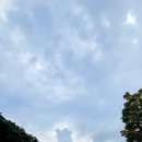 섬진강대나무숲길 이미지