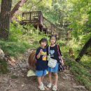 송사리 송사1교 입구 | 부산 운수사 계곡 아이랑 가기 좋아