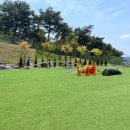 울산광역시 반려동물 문화센터 이미지