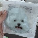 네일로미루지마 | 블로그사진 대표, 너에게 너무나도 큰 책임감을 어쩌구..