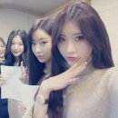 마래 이미지