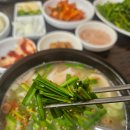 팔도돼지국밥 - 동래구 충렬대로428번길 20 | 팔도돼지국밥