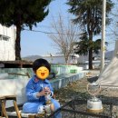 경남 밀양 장미길테마야영장(캠핑장) / 25개월 아기랑 첫 캠핑