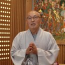 부처님 비구니 직계 제자의 깨달음 노래 (현대불교신문 여수령 기자님) 이미지