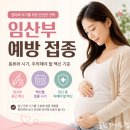 코로나19 백신 예방접종교육 | 임산부 백신 예방 접종 맞는 시기