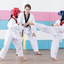 아랑태권도 이미지