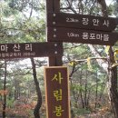 경북 예천 비룡산(240M),회룡포 산행 12년10월14일 2 이미지
