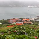 1호 민간 정원 쑥섬을 가다 -25.06.14. 이미지