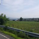 용지부자부동산공인중개사사무소 이미지