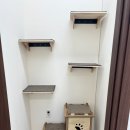 고양이미용호텔 우아캣 이미지