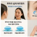 우성안경원 이미지