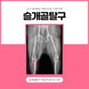 강아지나라동물병원 이미지