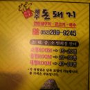 제주돈돼지 이미지