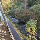 미유풀빌라앤스파펜션 이미지