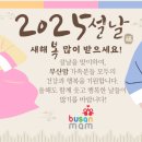 강아지 기모 티 사주세요 ㅠㅠ 수익금 전액 후원 이미지