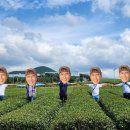 하림여행사 제주도미니버스