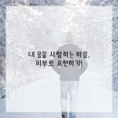 내몸사랑피부관리
