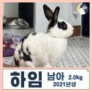 광주TNR동물병원(송정) 이미지