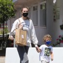 윌리스펫 이미지